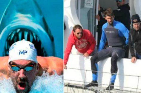 Michael Phelps causó furor en las redes tras nadar con un tiburón blanco