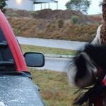 Ola de frío polar en Sudamérica causa nevada en Chile y Brasil