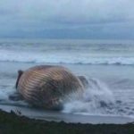 marejadas y oleaje en Panamá