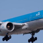 Un perro reclama 470 dólares a KLM por el retraso de un vuelo a Ámsterdam