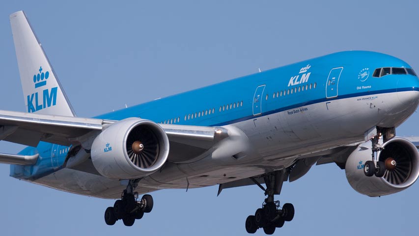 Un perro reclama 470 dólares a KLM por el retraso de un vuelo a Ámsterdam
