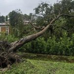 Irma dejó sin electricidad a casi 3,5 millones de clientes en Florida