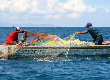 ARAP inicia hoy censo de pescadores artesanales