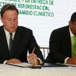 incentivos forestales