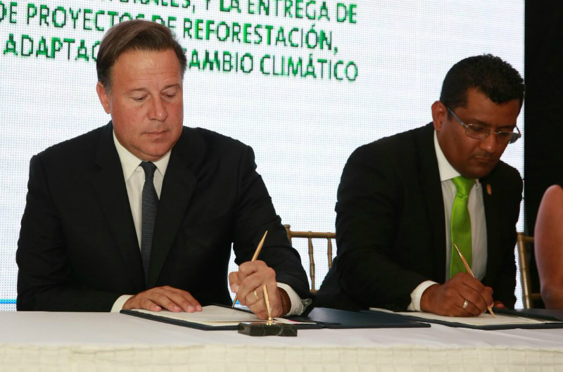 incentivos forestales