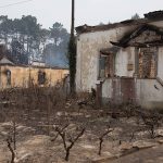 Dimitió la ministra de Administración Interna lusa por gestión de incendios