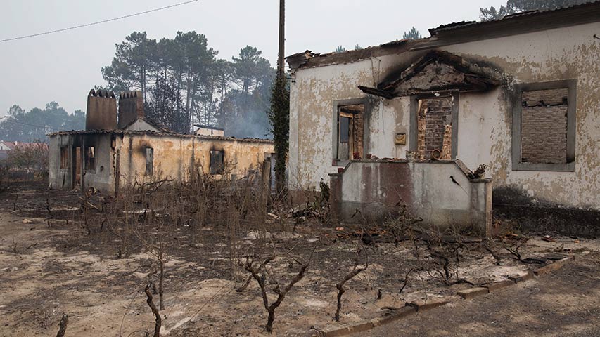 Dimitió la ministra de Administración Interna lusa por gestión de incendios