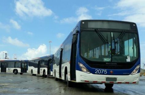 Arribaron al país los 71 últimos metrobuses de la nueva flota