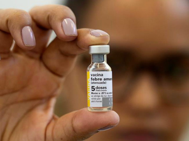 fiebre amarilla