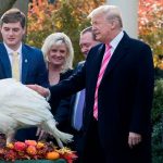 Trump cumplió con la tradición del indulto al pavo antes de Acción de Gracias