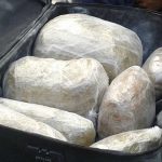 Decomisaron 332 kilos de cocaína en España procedente de Brasil