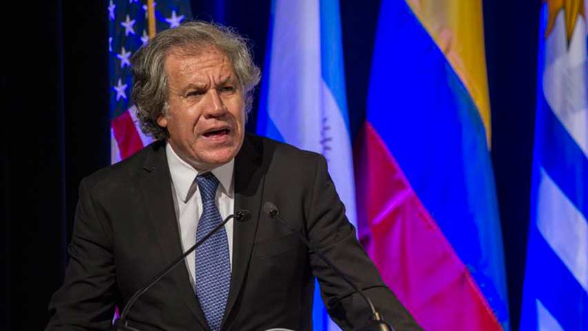 Almagro compartió la preocupación de la CIDH por el indulto a Fujimori