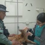 atrapado en una alcantarilla