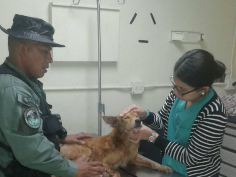 atrapado en una alcantarilla