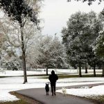 Texas se paralizó gracias a las bajas temperaturas