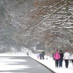 Temporal de nieve paralizó toda la isla de Irlanda