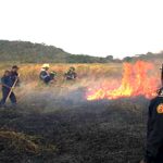 incendios de masa vegetal