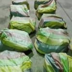 Costa sur de Panamá