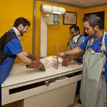 veterinarios de Panamá