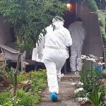 estadounidense en Boquete