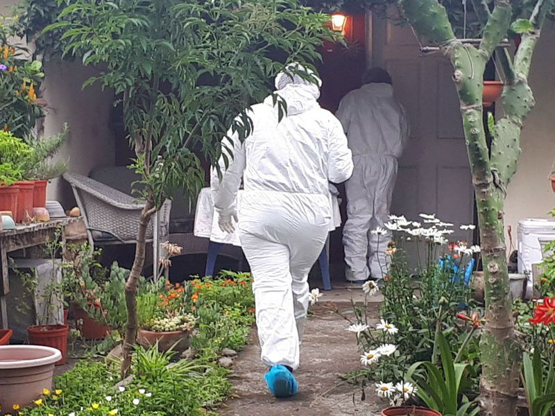 estadounidense en Boquete