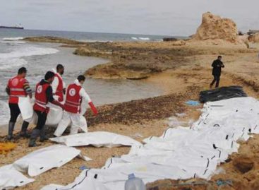 11 migrantes murieron tras naufragar precario bote frente a Túnez