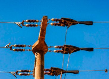 Caída de un cable eléctrico mata a 15 personas en Etiopía