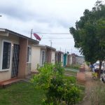 abejas africanizadas