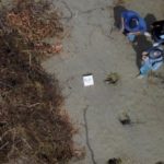 Localizaron fosa clandestina con 166 cráneos en Veracruz