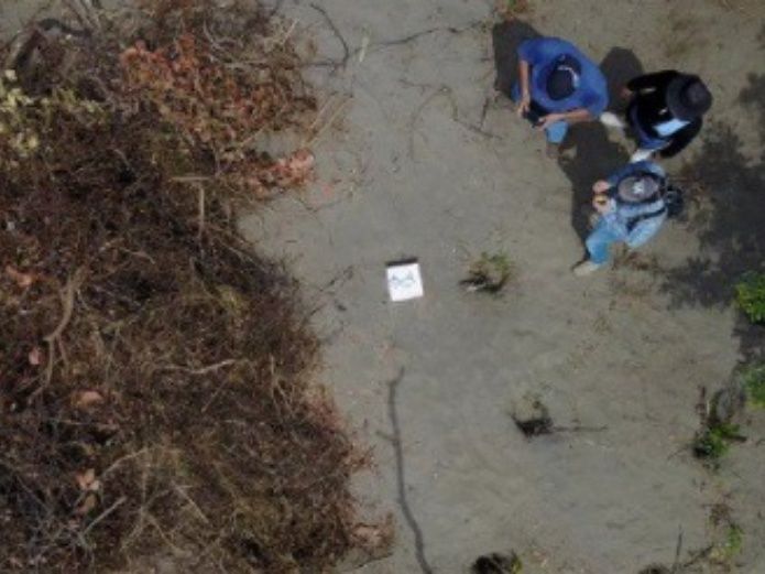 Localizaron fosa clandestina con 166 cráneos en Veracruz