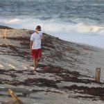 Cerraron playas de Miami por marea roja