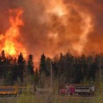 631 desaparecidos y 66 muertos en incendios de California