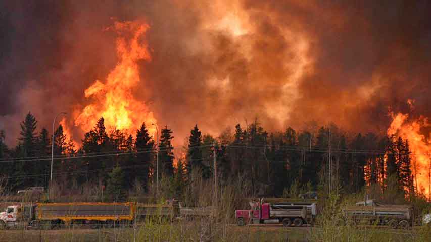 631 desaparecidos y 66 muertos en incendios de California