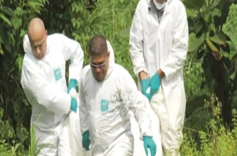 Un panameño murió al caer en un precipicio en Costa Rica