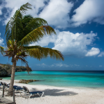 Imperdibles atracciones que no debes dejar de visitar en el Parque Playa del Carmen