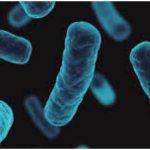 Minsa confirma 11 muertes por brote de tosferina en distintas zonas del país