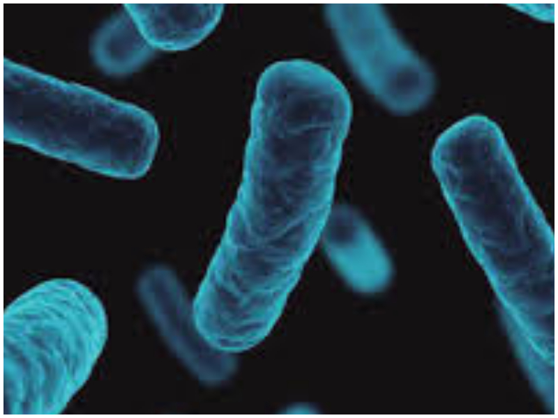 Minsa confirma 11 muertes por brote de tosferina en distintas zonas del país