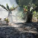 Incendios en Sierra Nevada de Colombia afectaron a 70 familias indígenas
