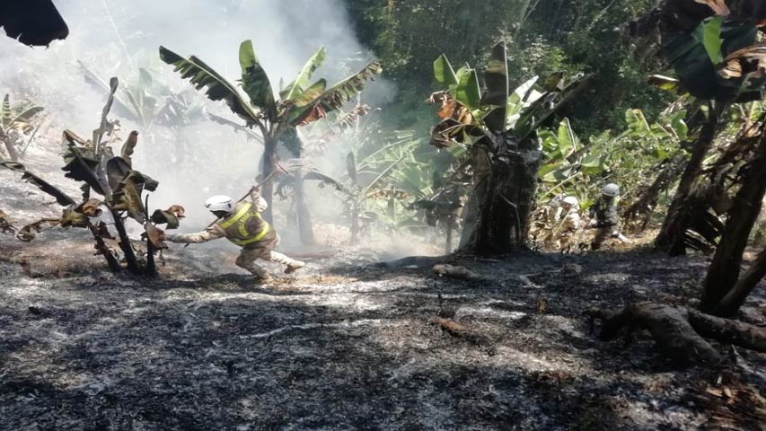 Incendios en Sierra Nevada de Colombia afectaron a 70 familias indígenas