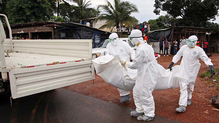 Más de 900 contagiados y 565 muertos por ébola en el Congo