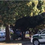 Enfrentamiento armado en Bolivia dejó dos muertos