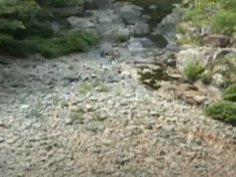 Idaan hace llamado a residentes de Panamá Esté a hacer «uso racional del agua potable»