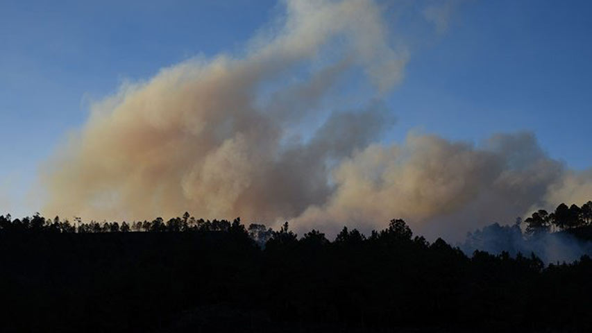 Desalojados dos mil habitantes por incendio forestal en el oriente de México