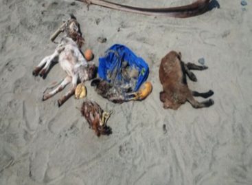 Dantesco hallazgo: Encuentran señales de ritual satánico en playa de Mariato