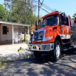 abejas africanizadas