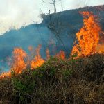 incendio forestales