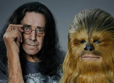 Peter Mayhew, que interpretó a Chewbacca en “Star Wars”, murió a los 74 años