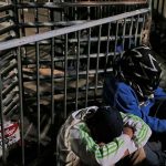 Casi 130 casos de gripe en albergue temporal de inmigrantes en EEUU