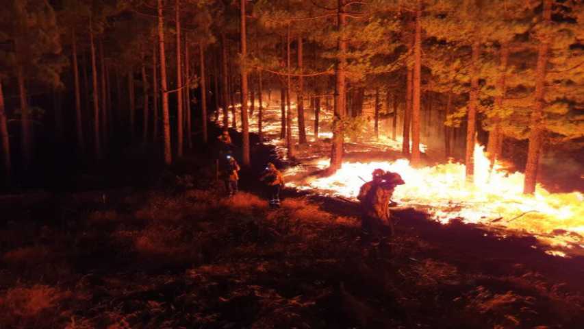 Unos 8 mil evacuados por gran incendio en isla de Gran Canaria