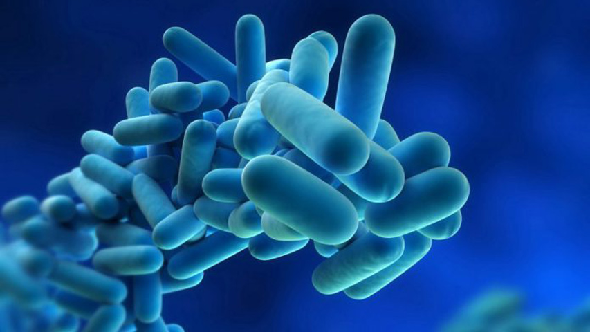 Confirman una tercera muerte por el brote de listeriosis en España